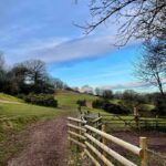 Stennels fields